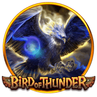 Thunder Bird