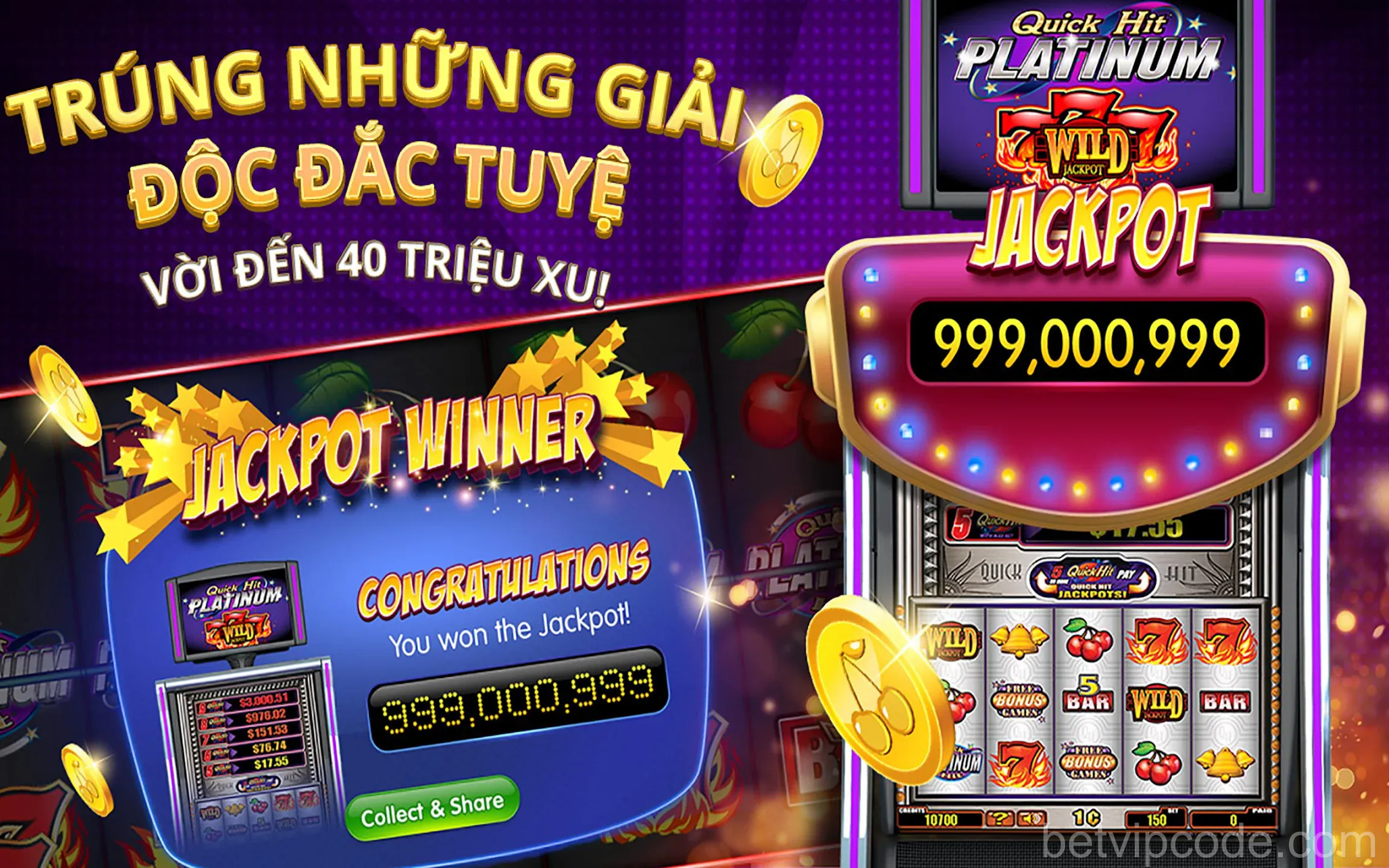Giao diện chính của ứng dụng BetVip